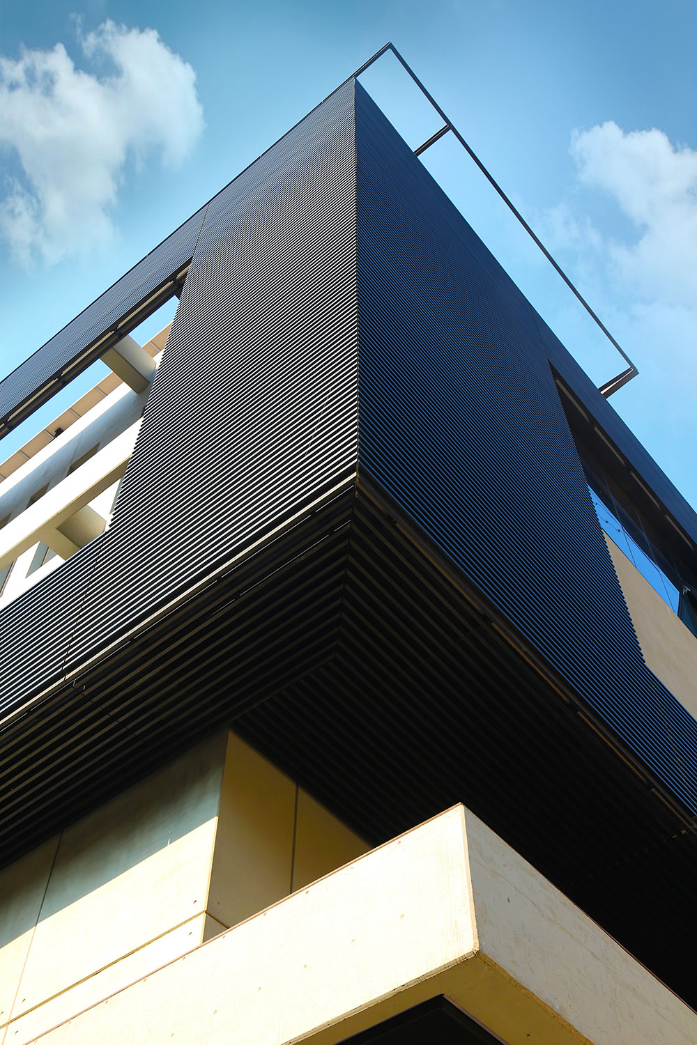 B&B Zouk Project image 4